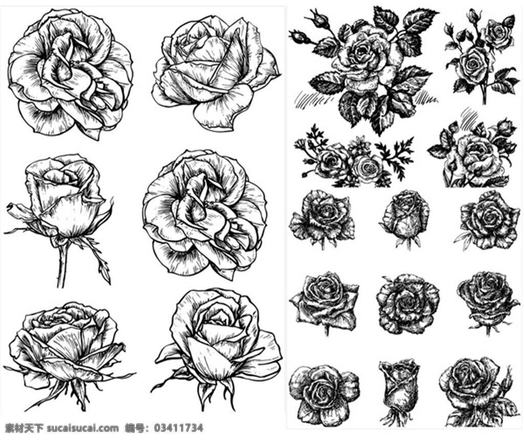 单色手绘花朵 手绘花朵矢量 插画 花朵 矢量 图形 手绘玫瑰花朵 手绘花枝 单色花朵 eps格式