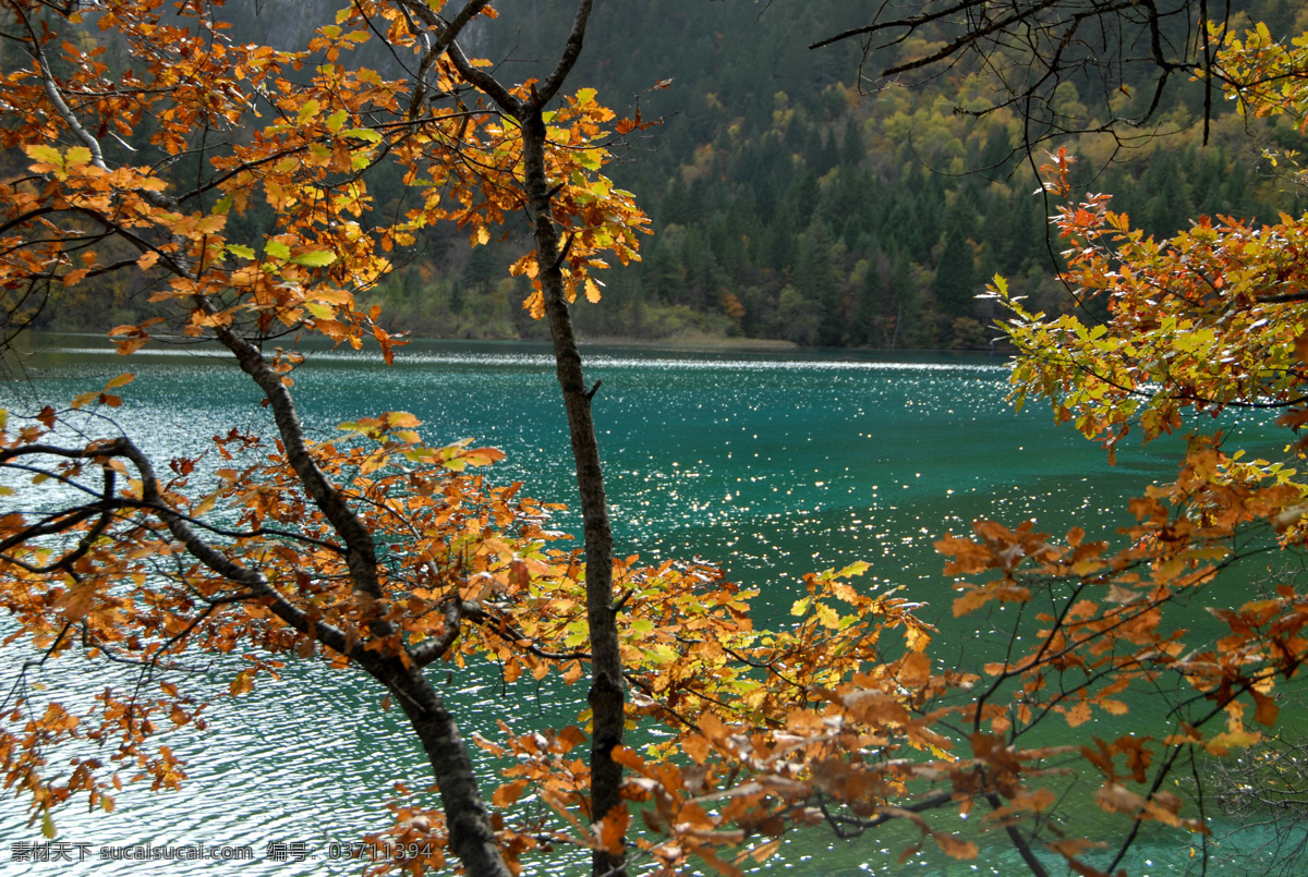 九寨沟秋色 九寨沟 秋色 碧水 山水风景 自然景观