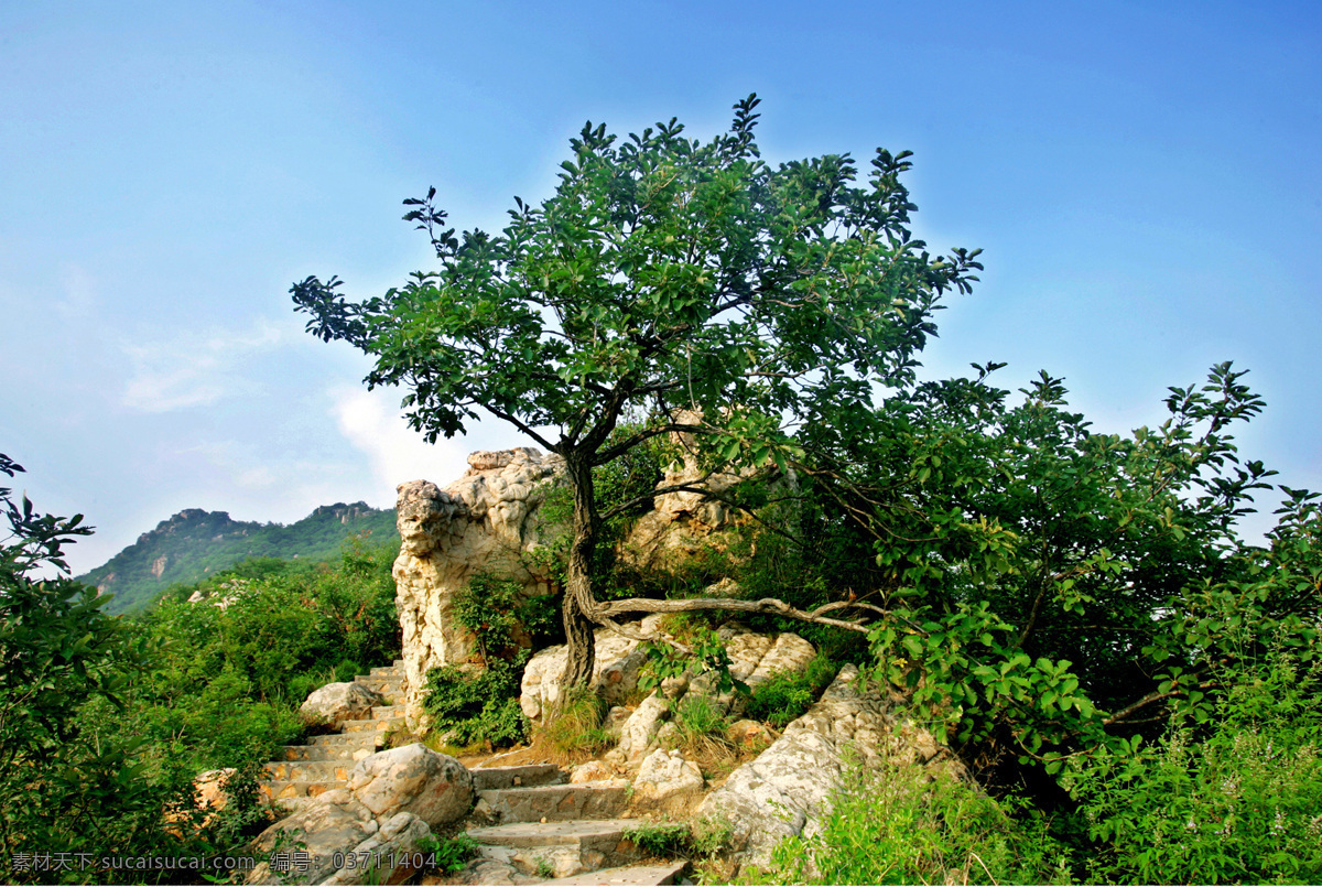 槲树 山林 旅游 美丽 自然 自然风景 自然景区 山区 山 美好 山石 山水风景 自然景观