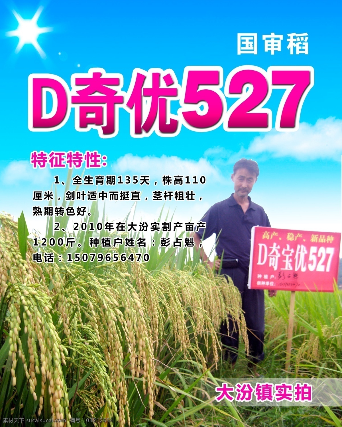 分层 psd文件 稻谷 稻田 稻子 农民 水稻 源文件 种子 展板 d奇优527 水稻展板 国审稻 农户 其他展板设计
