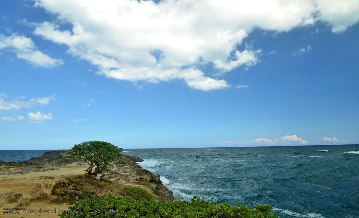 夏威夷 海岸 风景