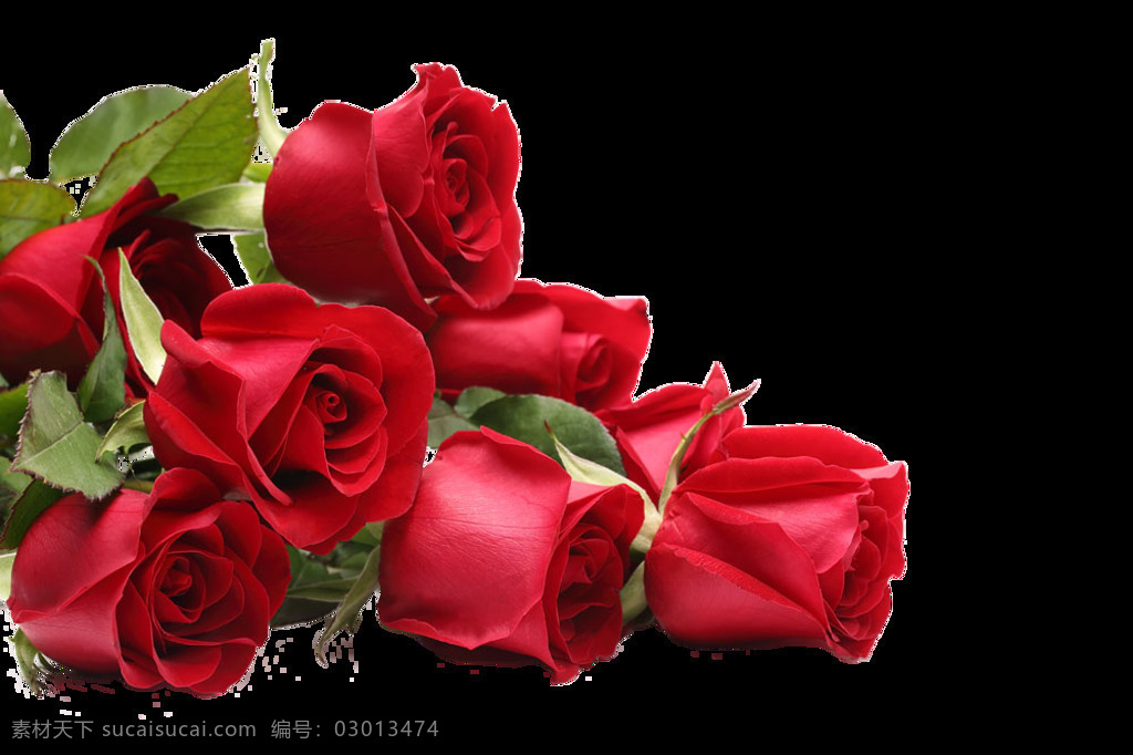玫瑰 花朵 情人节 海报 png格式