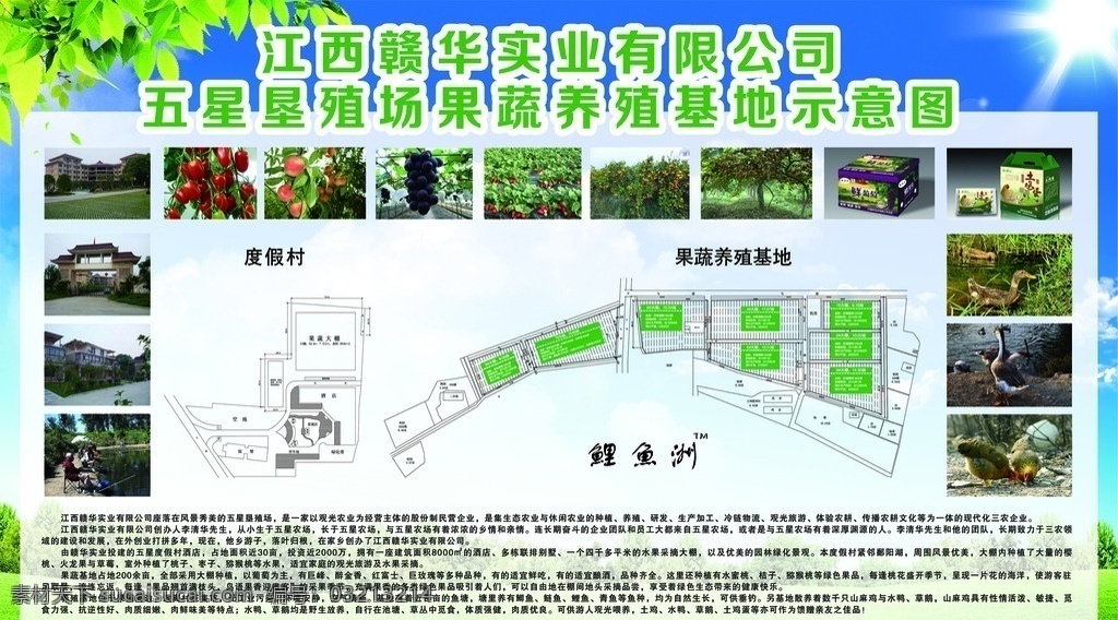 果蔬养殖基地 果蔬基地 果蔬图 养殖基地 垦殖场 养殖图版 作品 分层