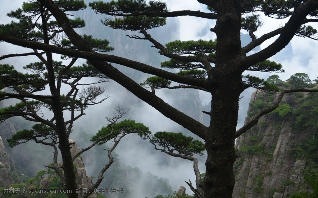 黄山 山峰 山峦 天空 绿树 树木 安徽 松树 雾气 云海 黄山旅游照片 自然景观 山水风景