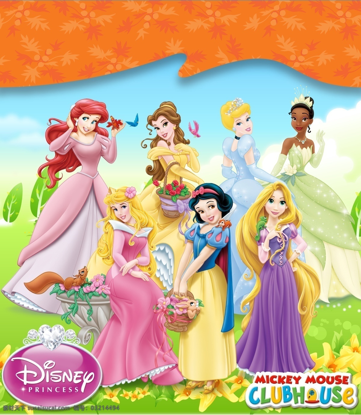 精品卡通公主 迪士尼 卡通精品 长发公主 白雪公主 睡美人公主 美人鱼公主 茜茜公主 黑皮肤公主 灰姑娘公主 草地 花草 粉色花 黄色花 蓝天 白云 花篮 松鼠 小鸟 虾子 蜥蜴 卡牌 logo disney 精品 迪斯尼 公主 封面 分层 源文件