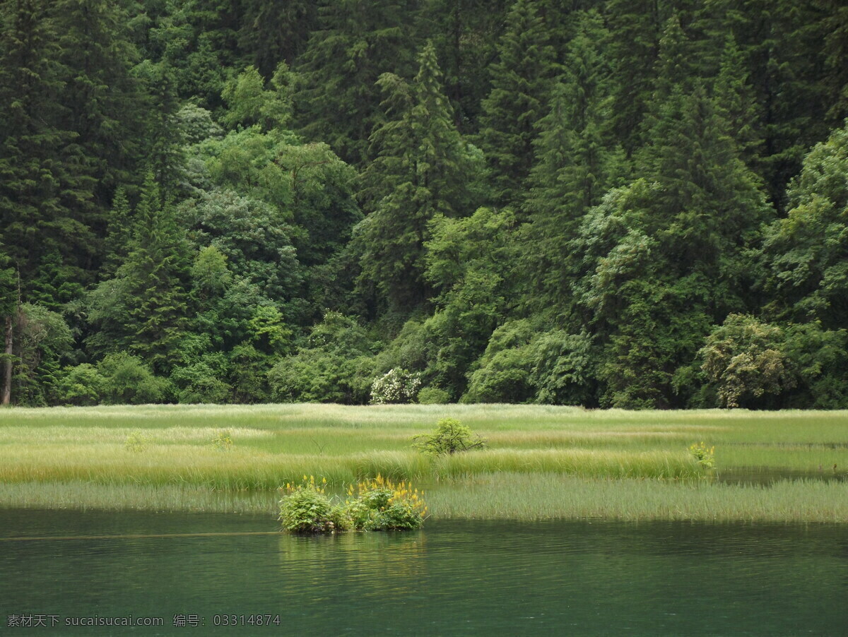 四川九寨沟 九寨沟 九寨沟风光 山水 山水风光 九寨沟风景 秋天的九寨沟 九寨沟景色 九寨沟瀑布 溪水 芳草海 九寨沟芳草海 九寨沟山水 长海 九寨沟旅游 自然风光 雪山 九寨沟雪山 沃洛色莫 雪山的水 四川风景 四川景点 自然景观 风景名胜