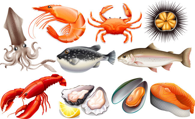 真实 各种 海鲜 插画 章鱼 大虾 螃蟹 海胆 小龙虾 三鱼纹 牡蛎