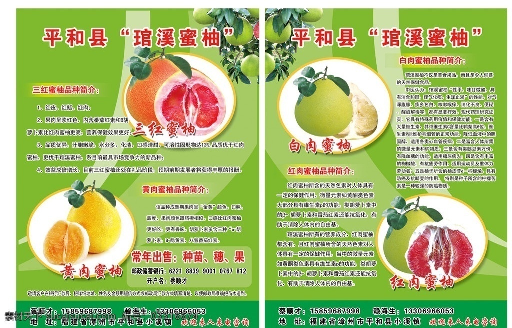 琯 溪 蜜柚 宣传单 红肉蜜柚 黄肉蜜柚 三红蜜柚 广告设计模板 源文件