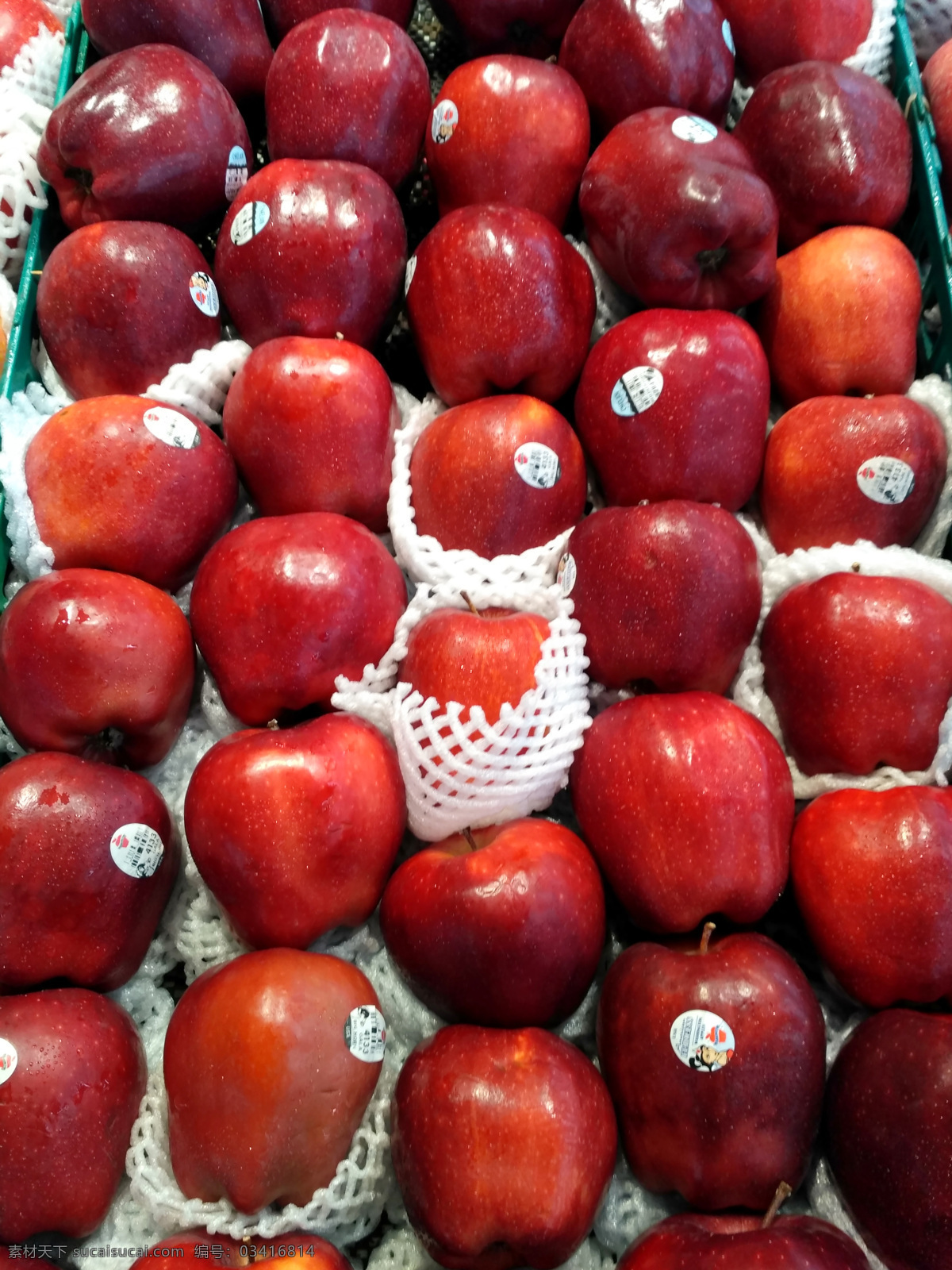 红富士 进口苹果 进口水果 蛇果 红蛇果 新鲜水果 水果 超市 货架 生鲜 蔬菜水果 水果蔬菜 蔬果 农产品 生物世界