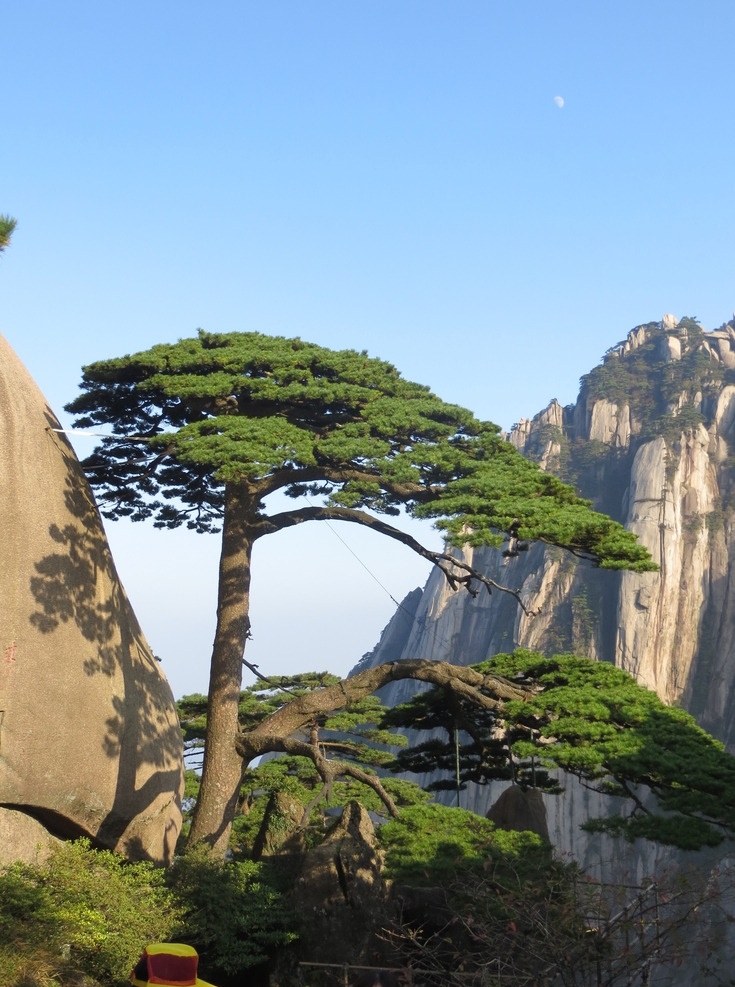迎客松 黄山风光 黄山旅游 黄山美景 黄山云海 旅游 云海 松树 高山 风景名胜 自然景观 安徽黄山 黄山秋色 黄山 安徽旅游景点 黄山景色 黄山山峰 山峰