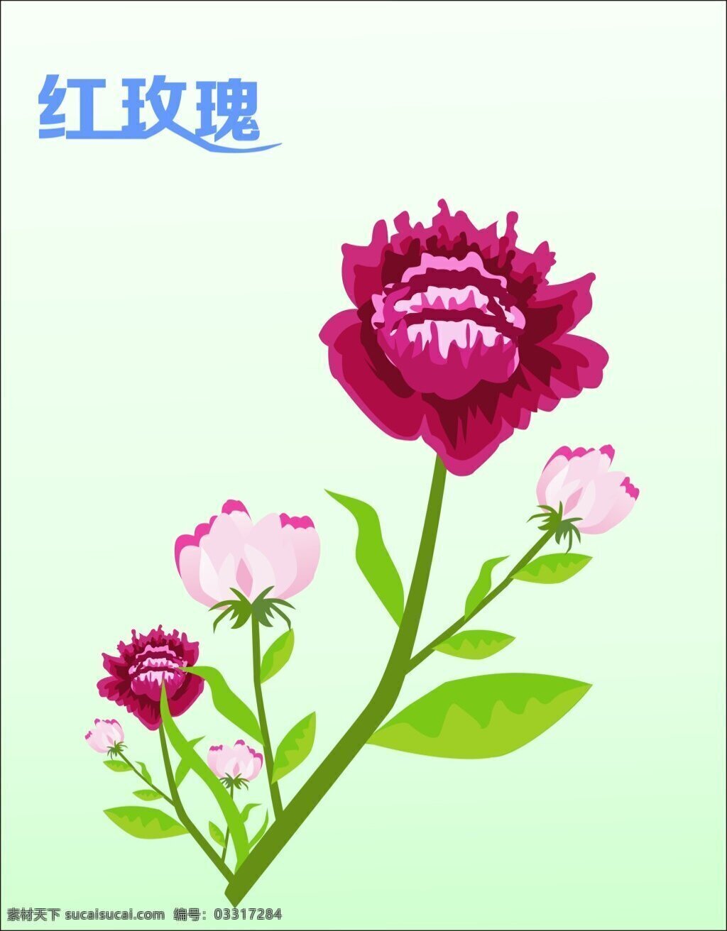 矢量图 植物 春天 玫瑰花 月季花 花朵素材 植物素材 字体设计 动画素材