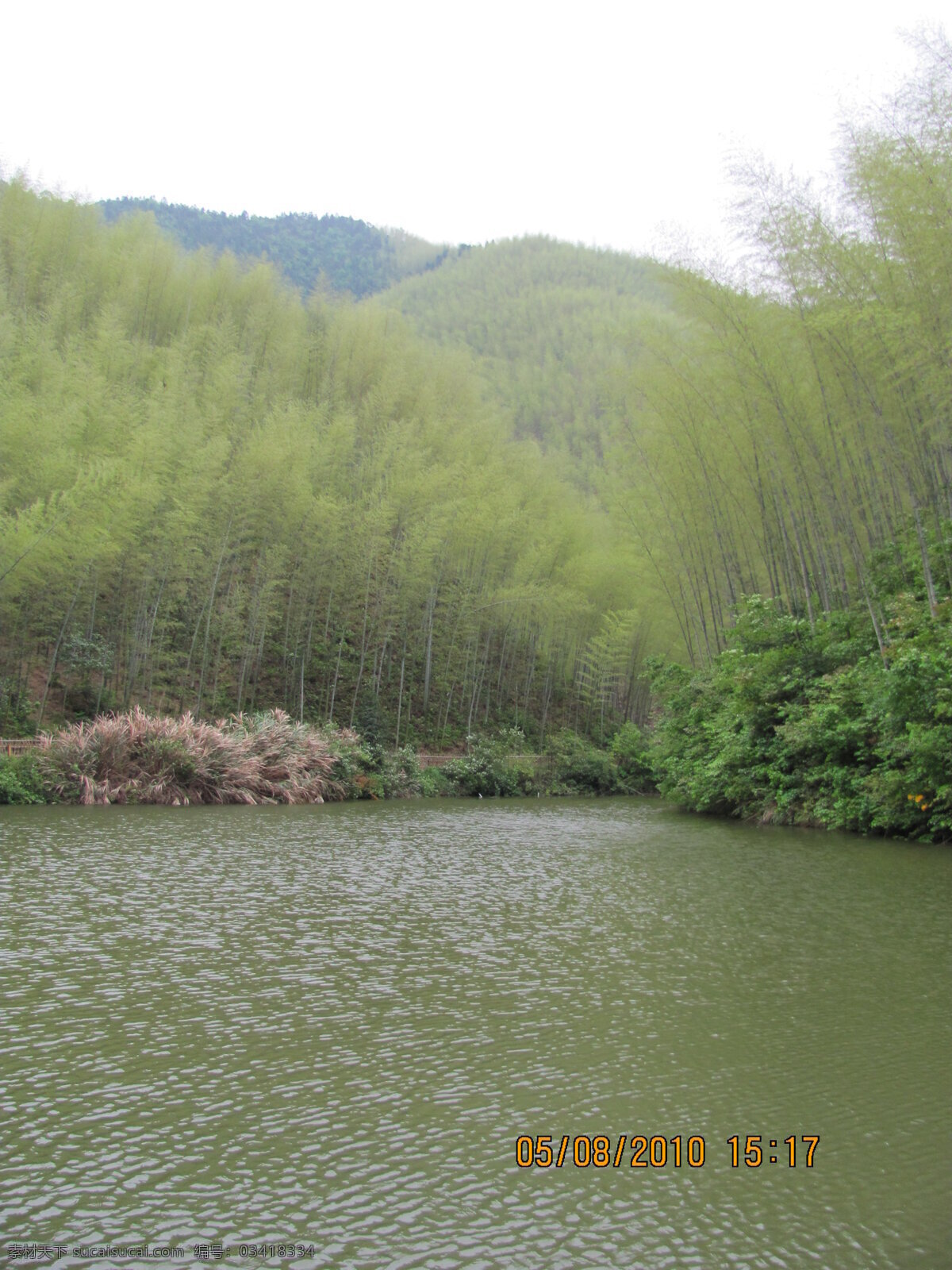 竹海 环保 绿色 山 山水风景 自然风景 自然景观 水 矢量图 日常生活