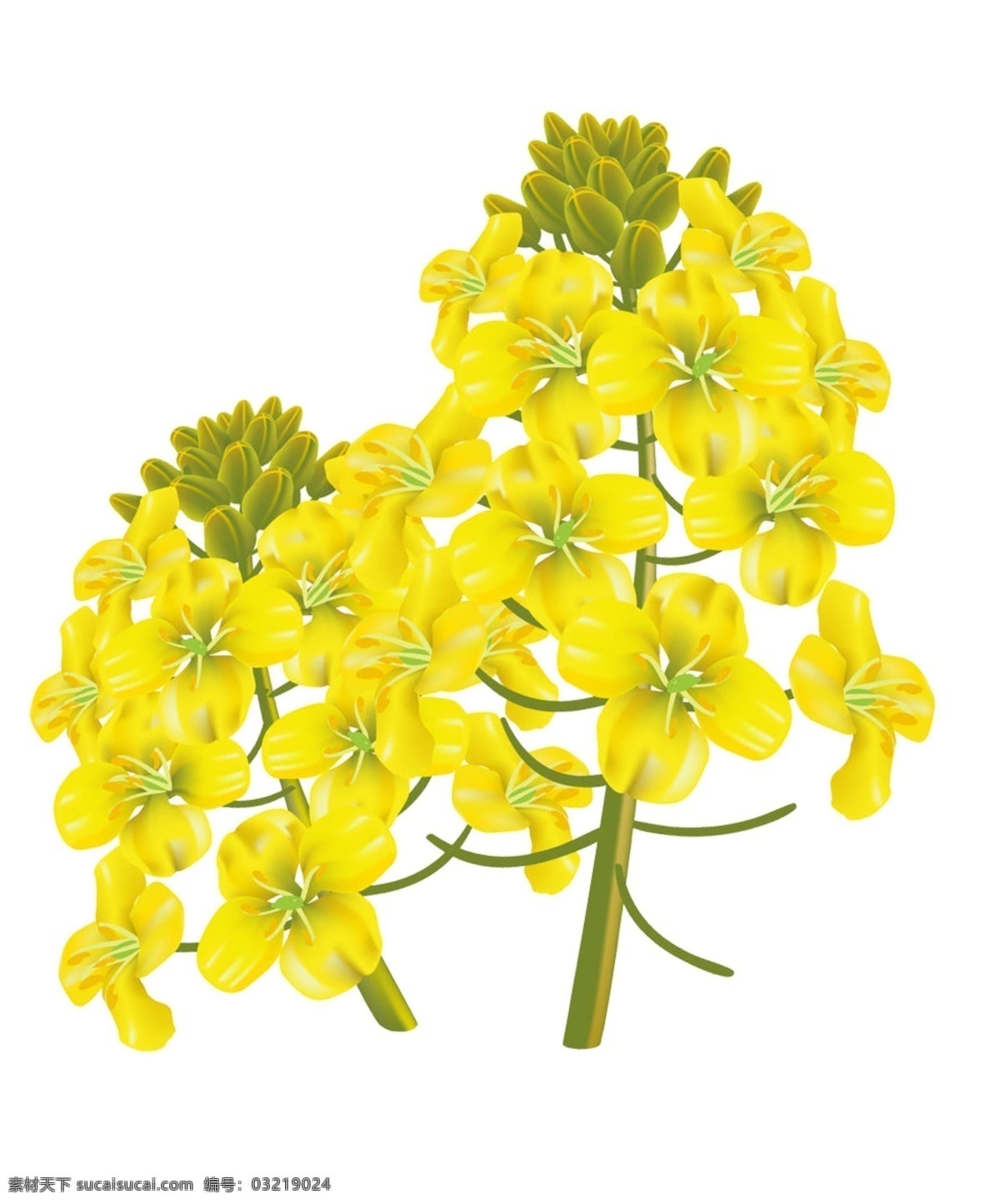 黄色 花朵 彩绘 源文件 文艺 清新 花簇 花束