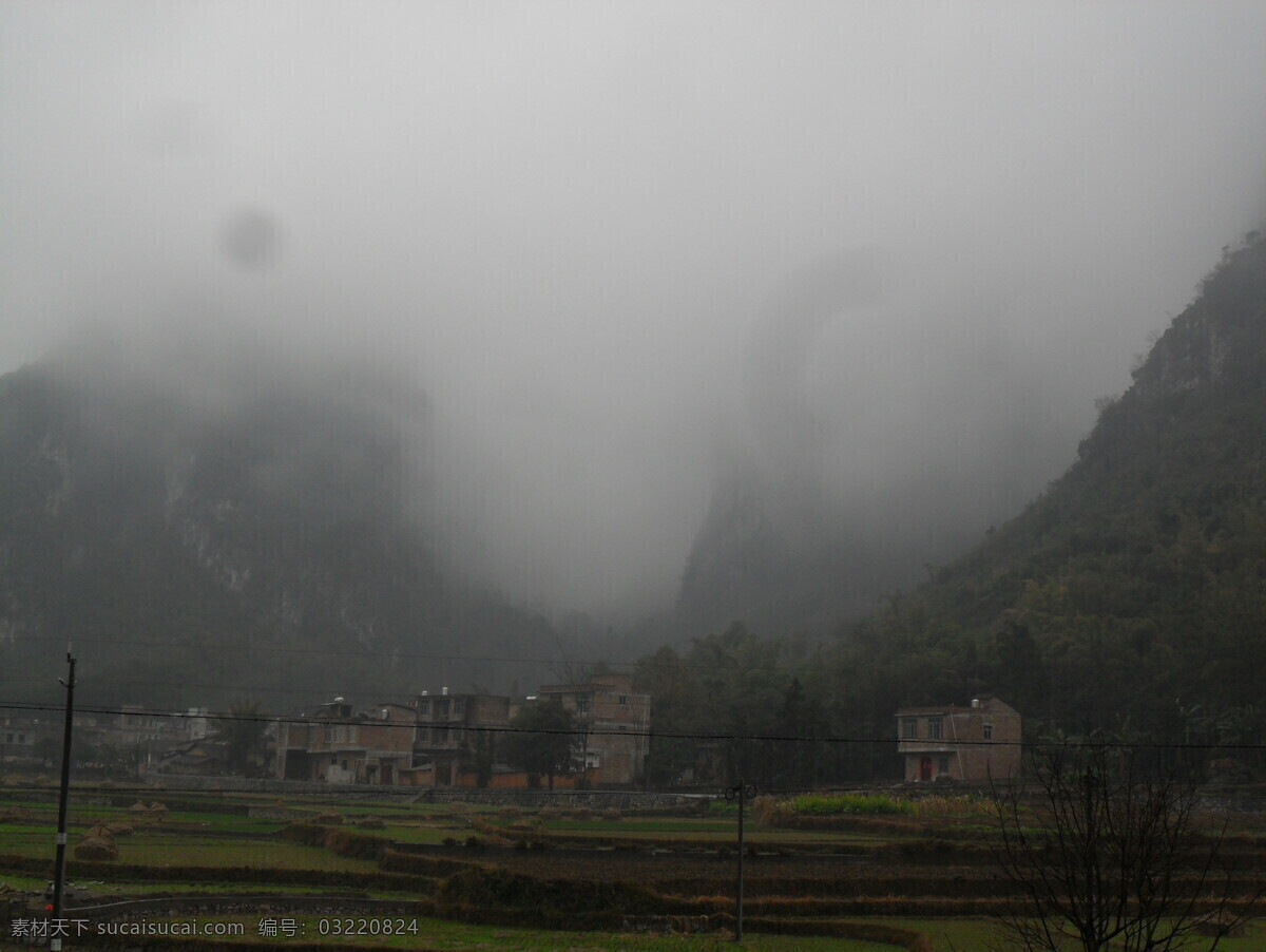 山村 观赏 菊花 大丽菊 黄色 努放 旅游摄影 自然风景