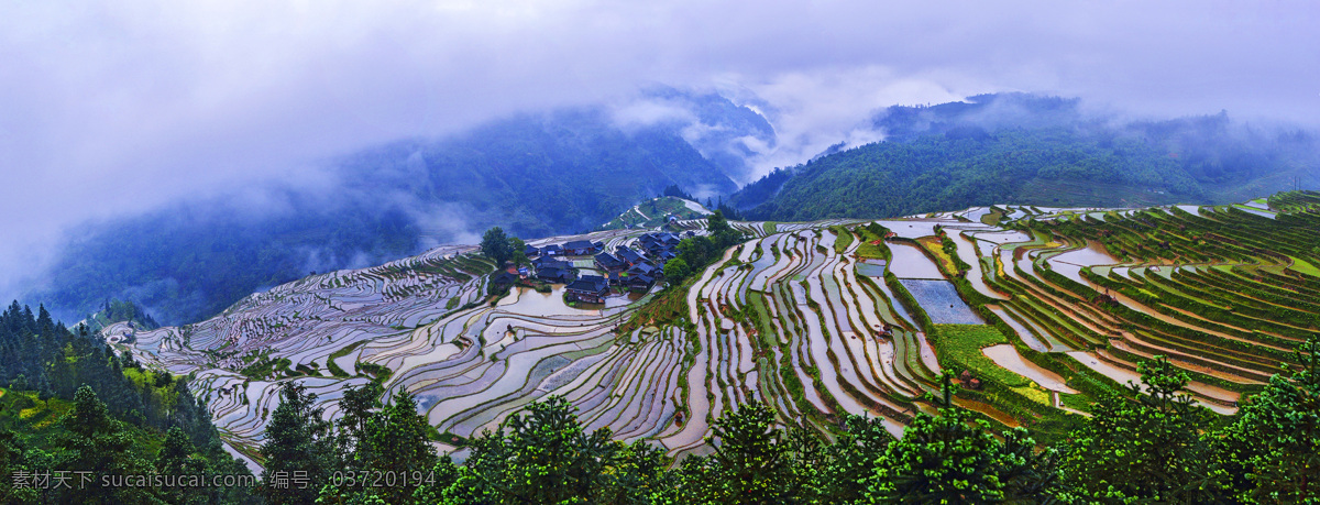 山脉 云雾 梯田 水田 树木 自然风景 自然景观