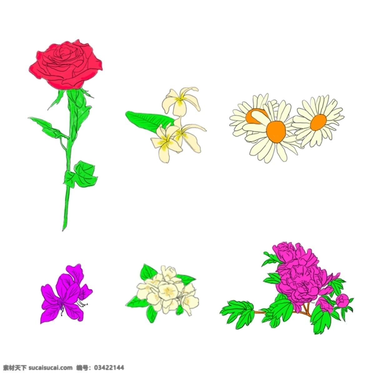 手绘 种花 卉 玫瑰 小雏菊 百合花 牡丹花 紫荆花