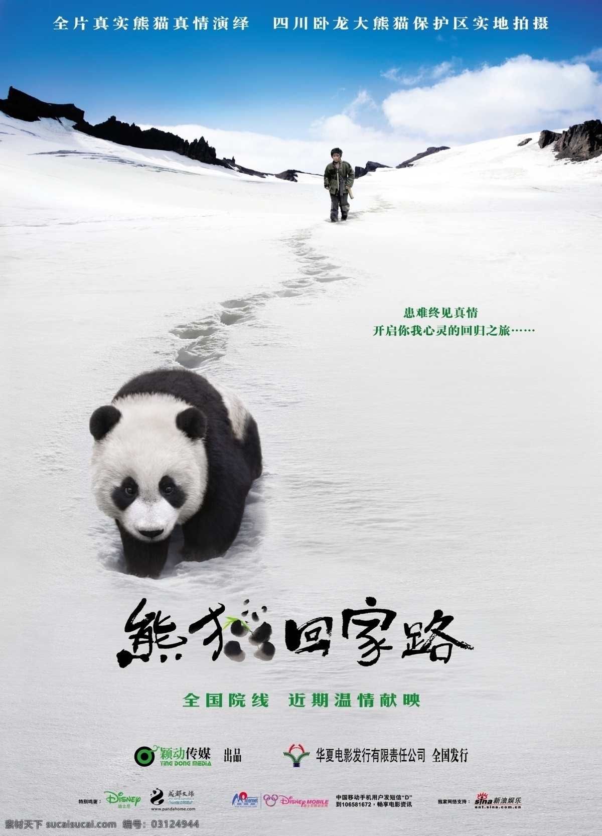 熊猫 回家 路 电影海报