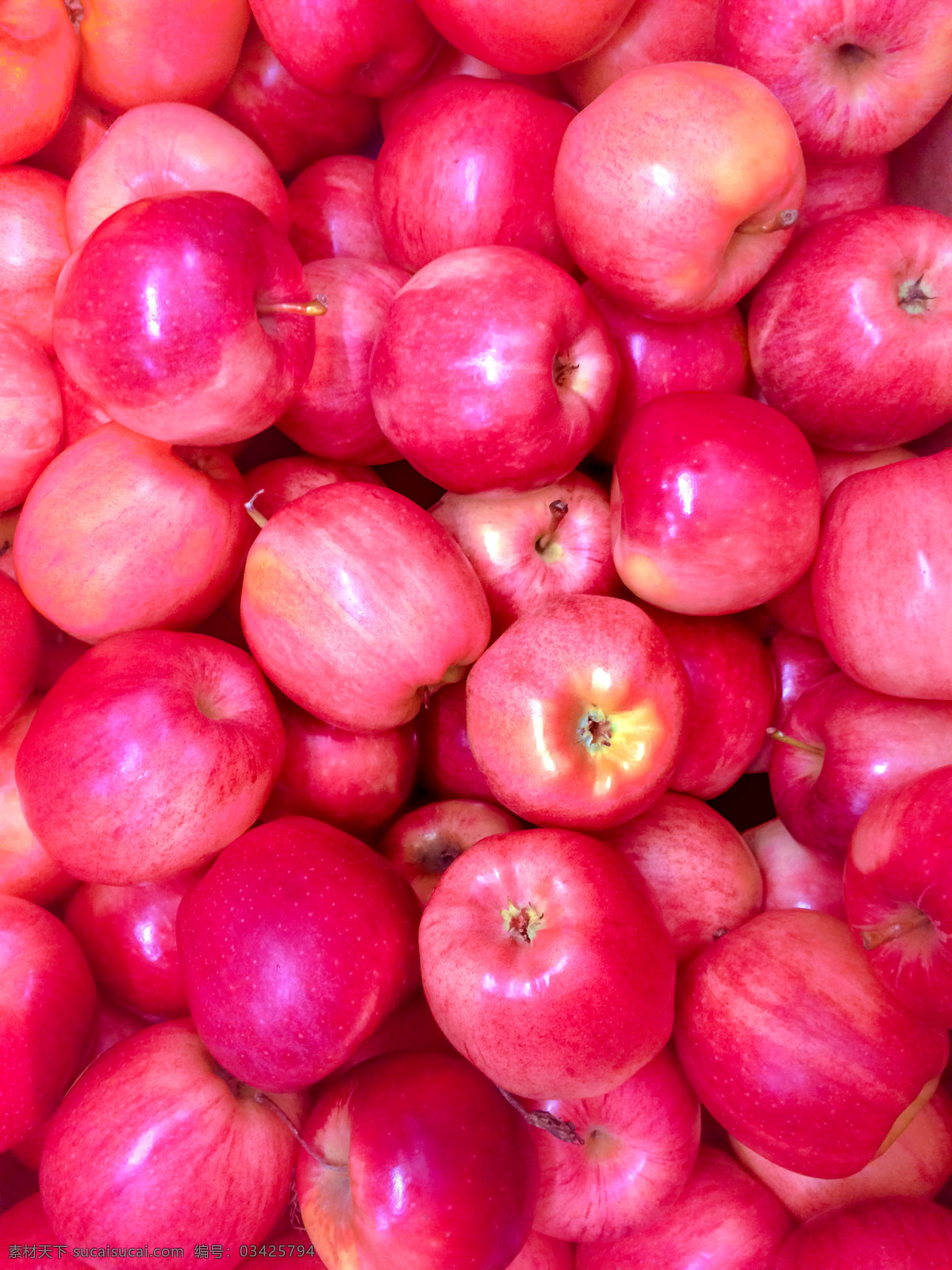 新鲜 好吃 红苹果 新鲜好吃 苹果 水果 香甜可口 大红苹果 生物世界