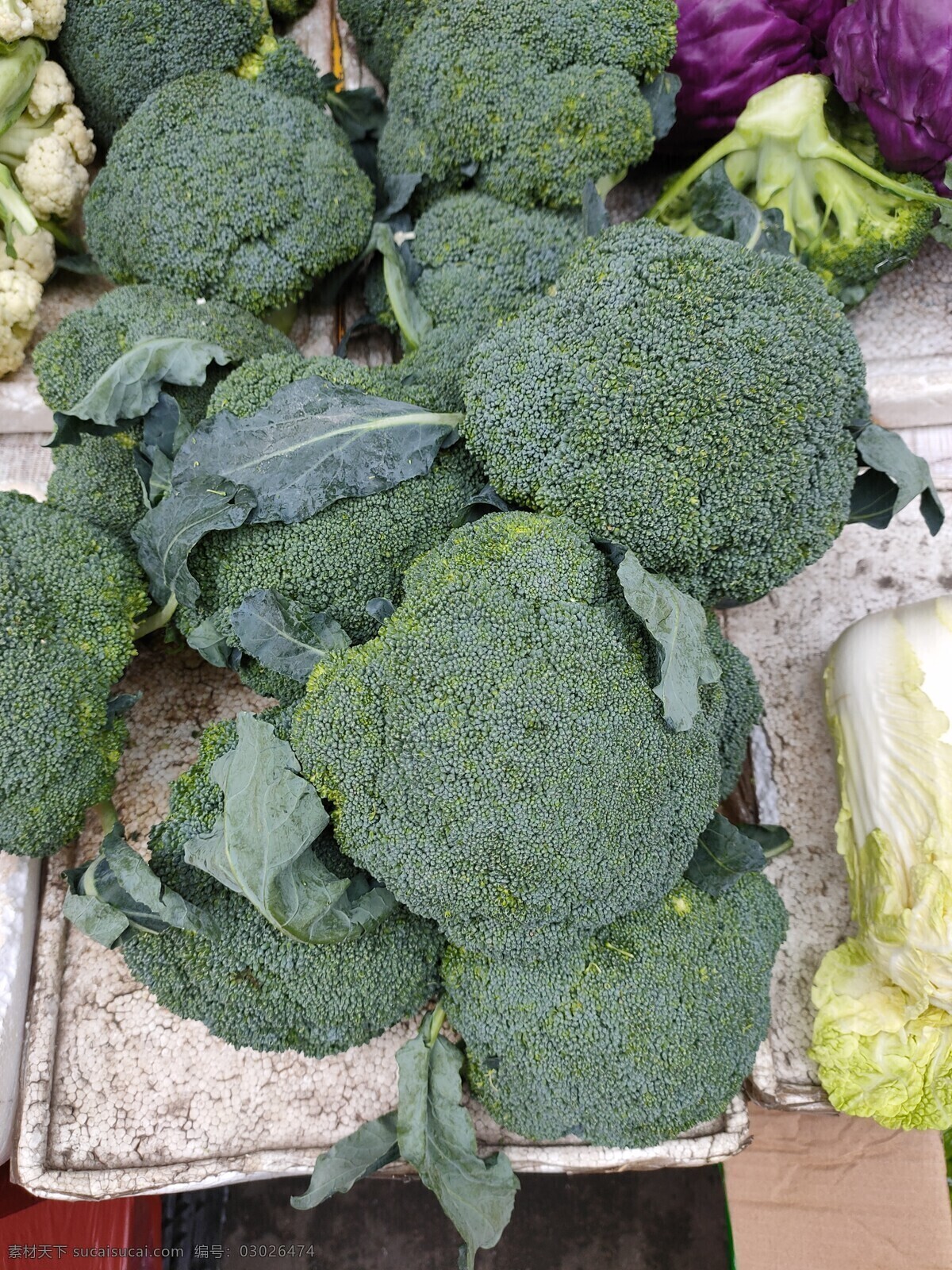 西蓝花 蔬菜 新鲜 食品 绿色 农业 青菜 植物 素食 维生素 有机蔬菜 菜叶 瓜 蛋 鸡蛋 菜市场 肉 菜地 菜园 生物世界