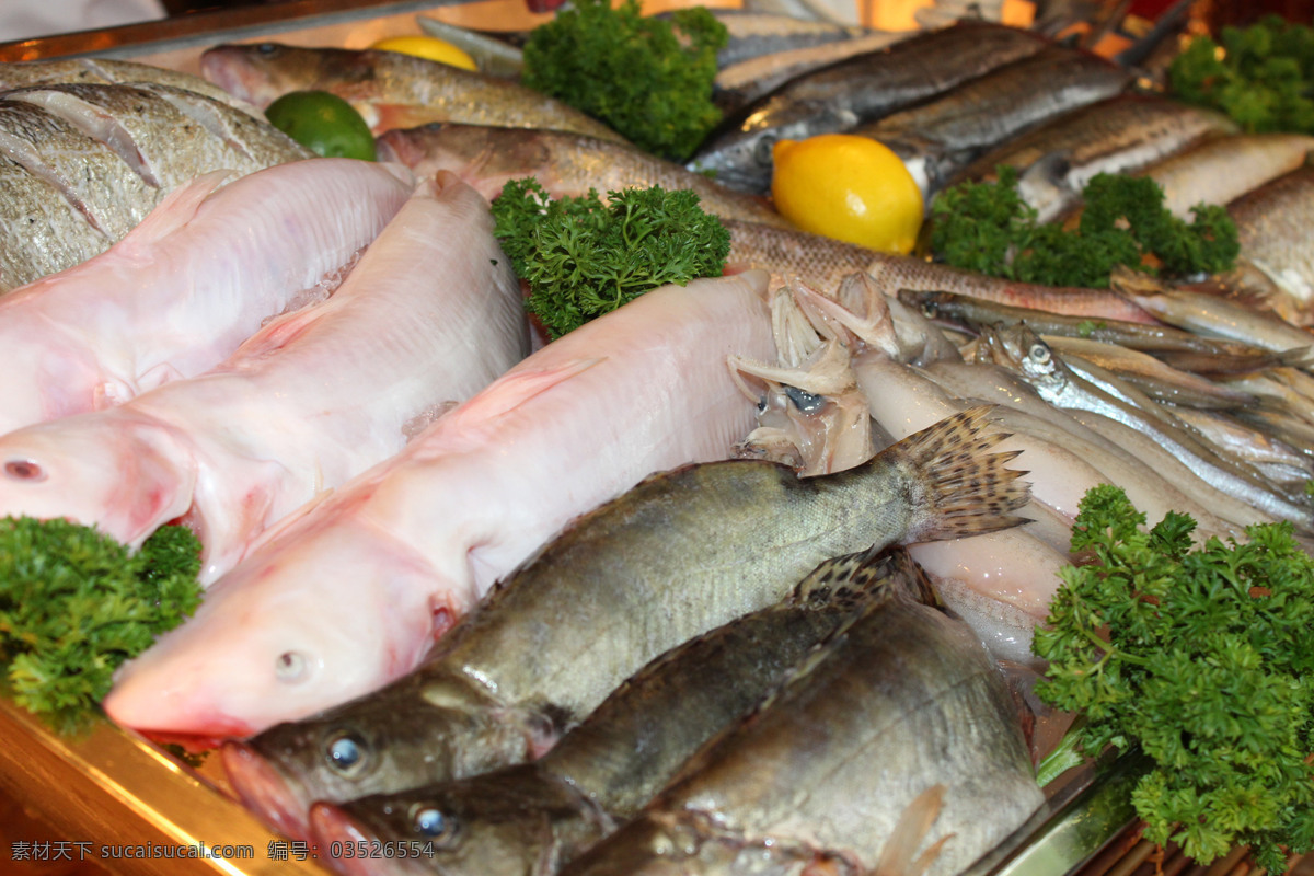 海鲜自助 海鲜 杀鱼 海鱼 章鱼 海产品 墨鱼 死鱼 鱼 食物 餐饮美食 传统美食