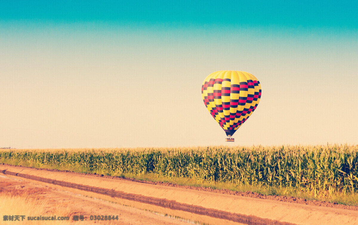 彩色 热气球 玉米地 空中热气球 天空 旅行 轻气球 自然风景 其他类别 生活百科 黄色