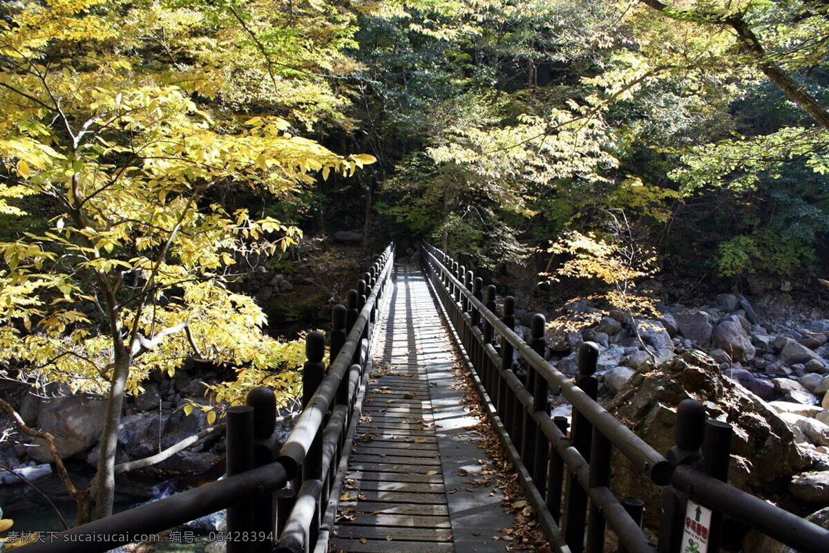 绿色 林间 木桥 风景 高清 木栈道 小桥 栈道