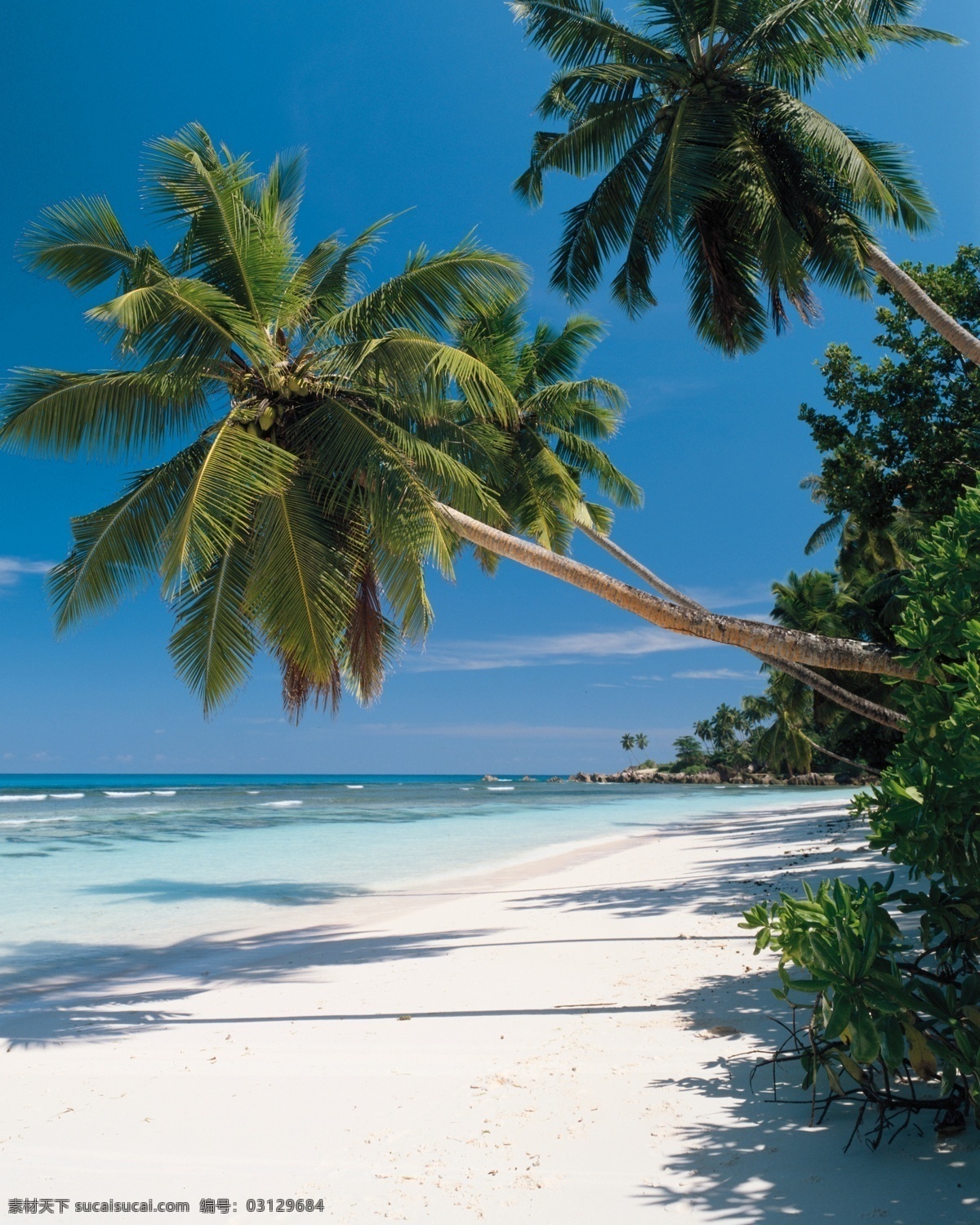 海滩风光 白云 大海 海景 海滩 蓝色 蓝天 阳光 滩风光 椰树 seacape 海上 花 自然风景 自然景观 psd源文件