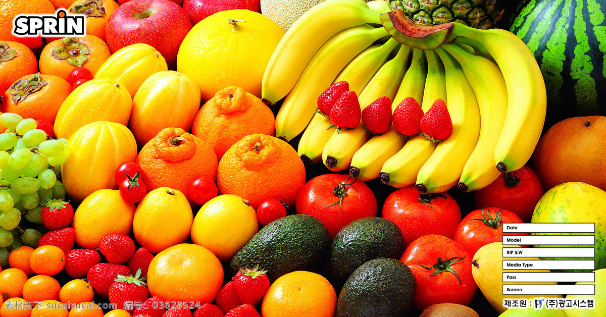 高清水果 水果 壁画 香蕉 橙子 香瓜 西红柿 葡萄 西瓜 水果接盘 水果集合 草莓 水果高清 生物世界