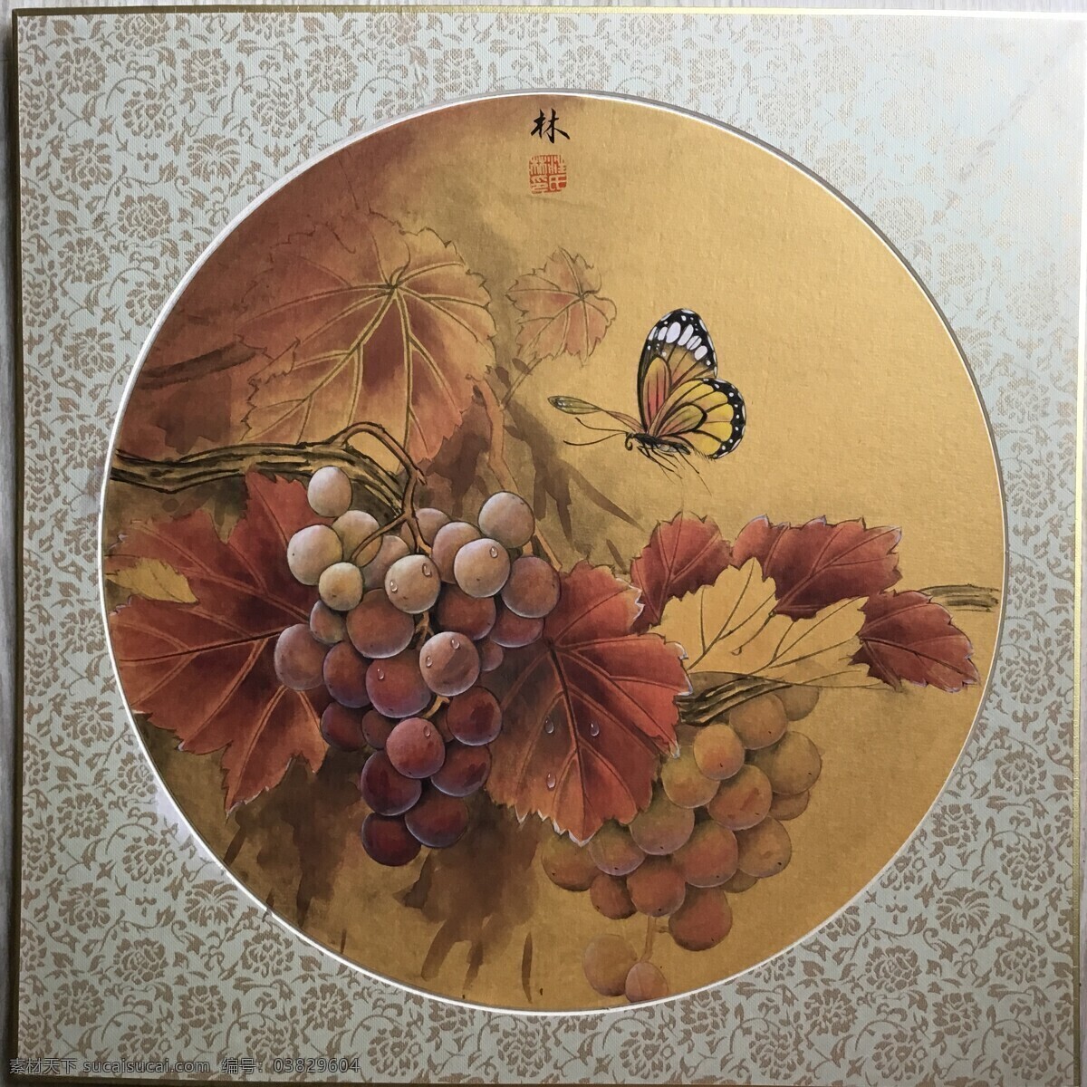 硕果 工笔画葡萄 工笔画蝴蝶 工笔画素材 绫子 葡萄 蝴蝶 自然景观 自然风光