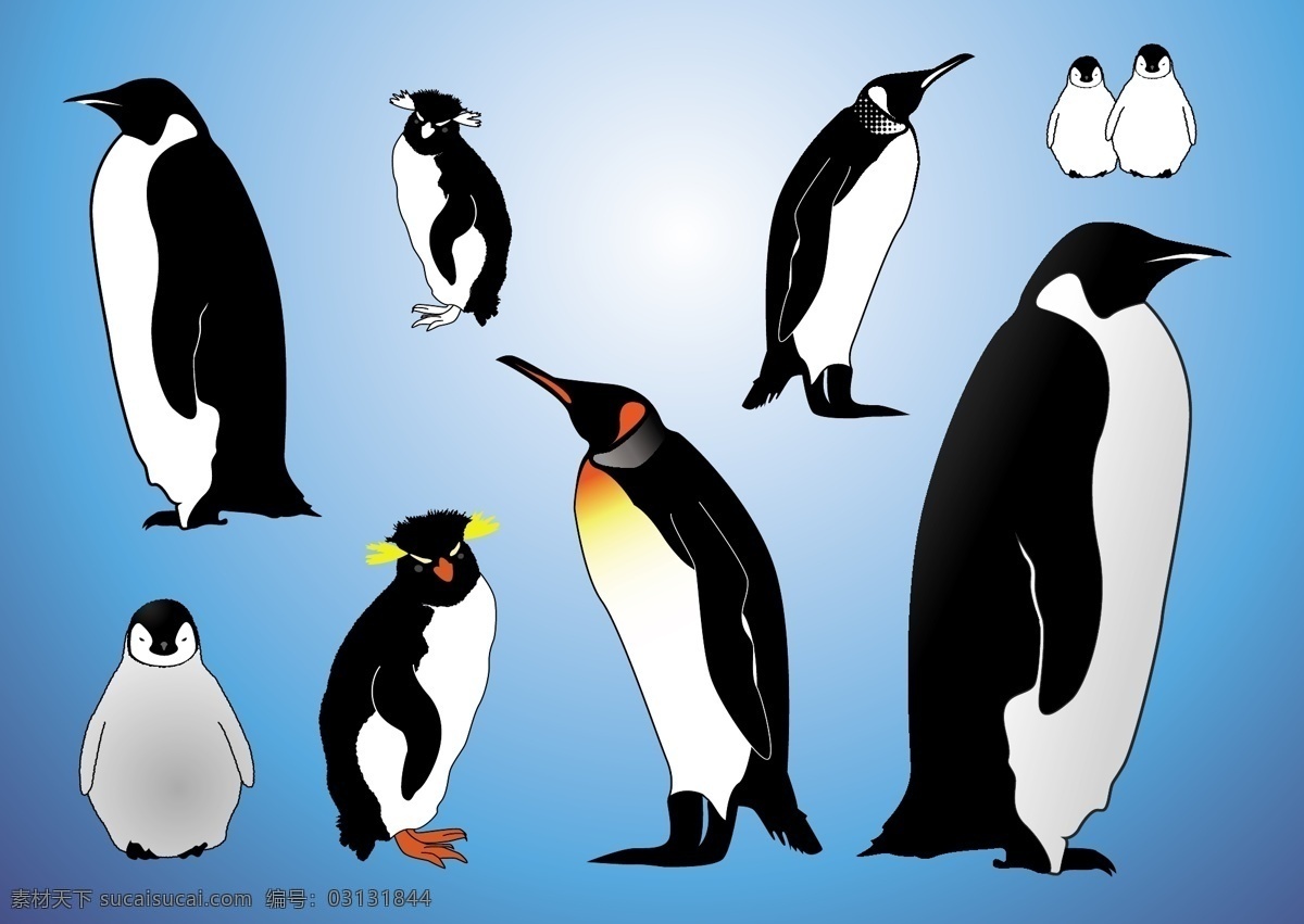 企鹅 向量 动物 动物园 海 南极 鸟 朋友 西装 野生动物 游泳 自然 南极洲 北极的 极性 极 现实的 在一起 燕尾服 矢量图 其他矢量图