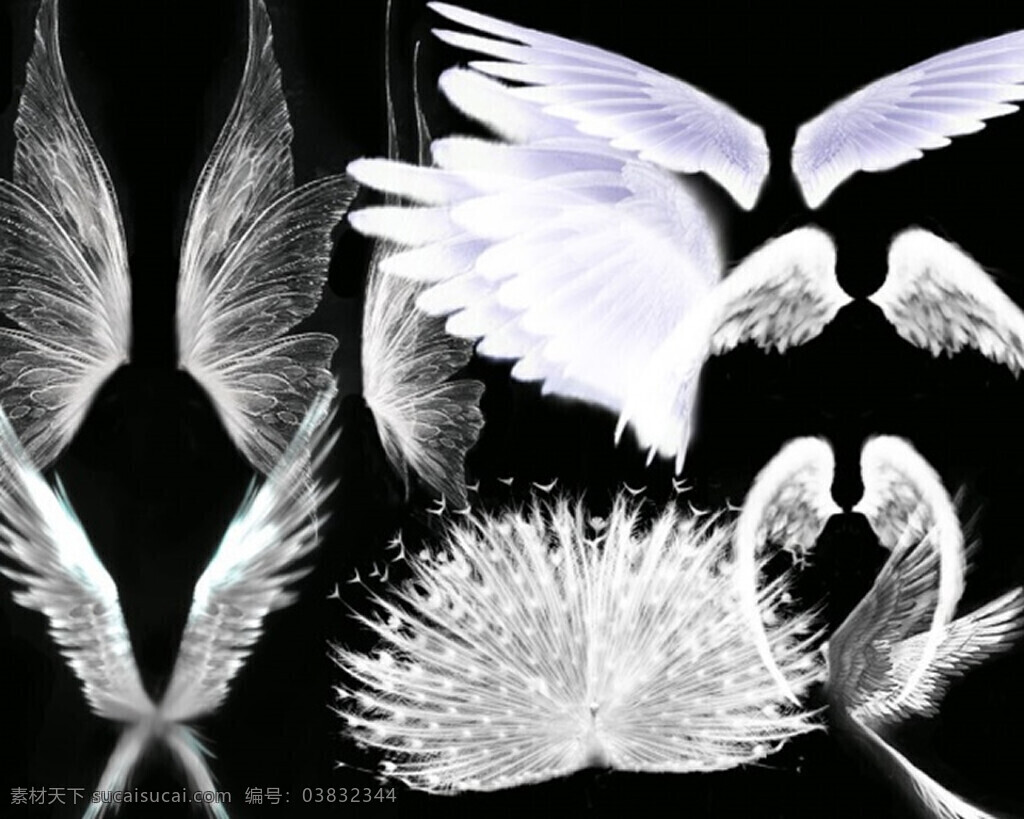 白色 羽毛 翅膀 白色羽毛 天使的翅膀 孔雀开屏 分层 黑色