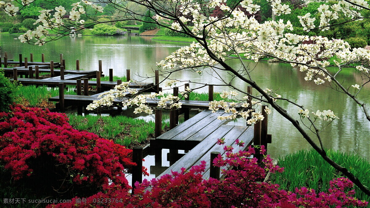 风景 湖泊 流水 春 自然 自然景观 自然风景