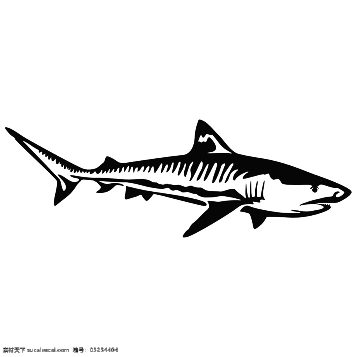 鲨鱼 印花 矢量 图形 动物 t 恤 卫 衣 鲨鱼印花 矢量图形 动物图案 t恤卫衣印花 白色