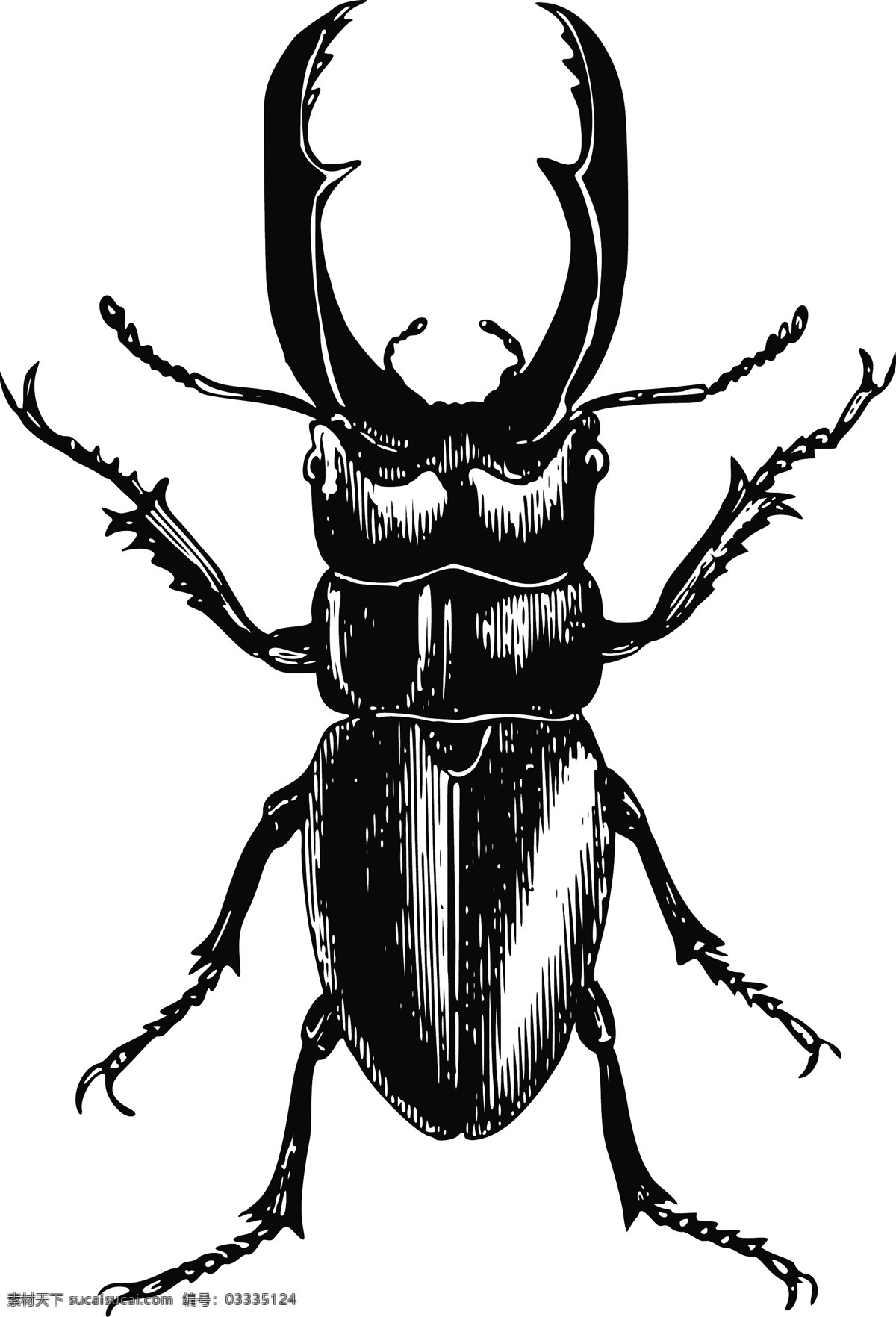 昆虫模型 模型 甲虫剪影 虫子 牛角仙 蝴蝶 生物世界 昆虫