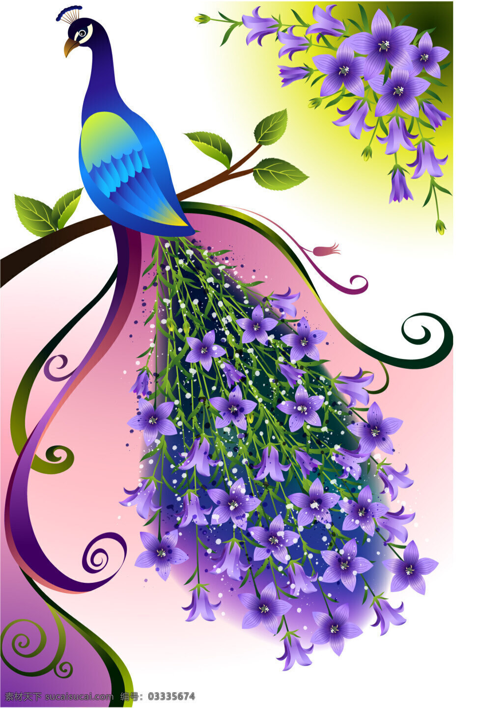 孔雀花丛 孔雀 花丛 紫色 花 动物 鸟 白色