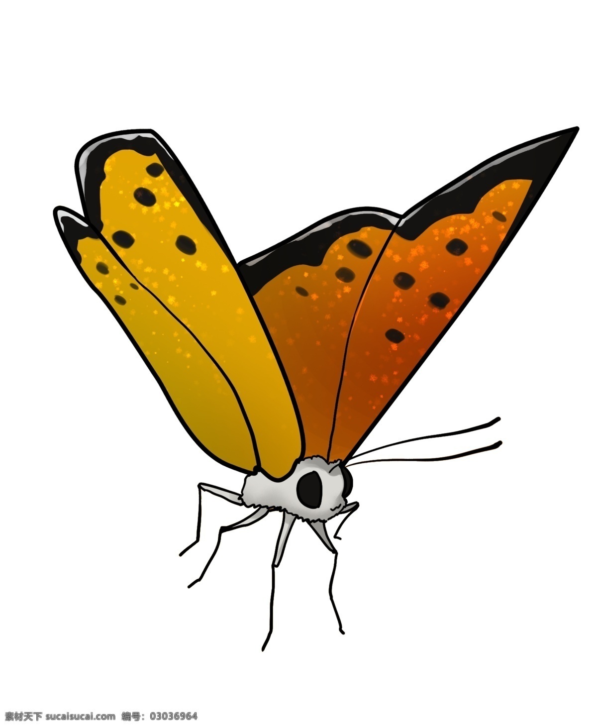 好看 蝴蝶 卡通 插画 好看的蝴蝶 卡通插画 动物插画 蝴蝶插画 动物蝴蝶 昆虫 益虫 漂亮的蝴蝶