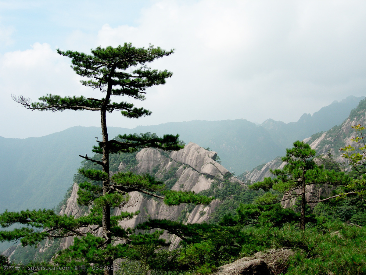 树免费下载 风景 绿色 山水风景 摄影图 树 植物 自然景观 水 家居装饰素材 山水风景画