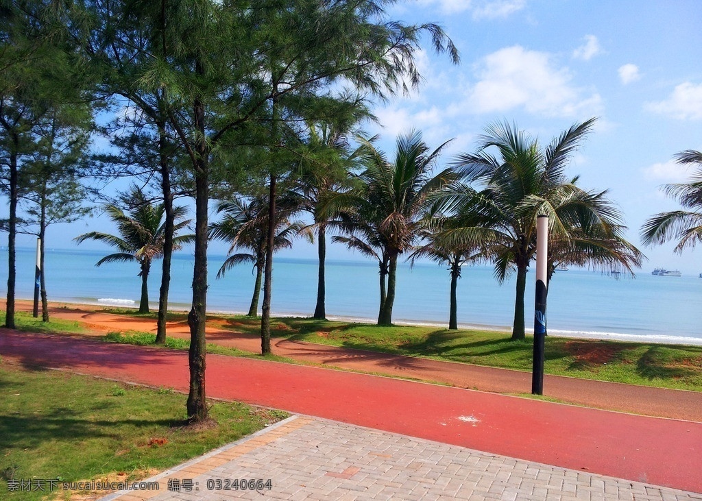 海口海边椰树 海口 海边 沙滩 椰树 椰风海韵 风景 自然风景 自然景观