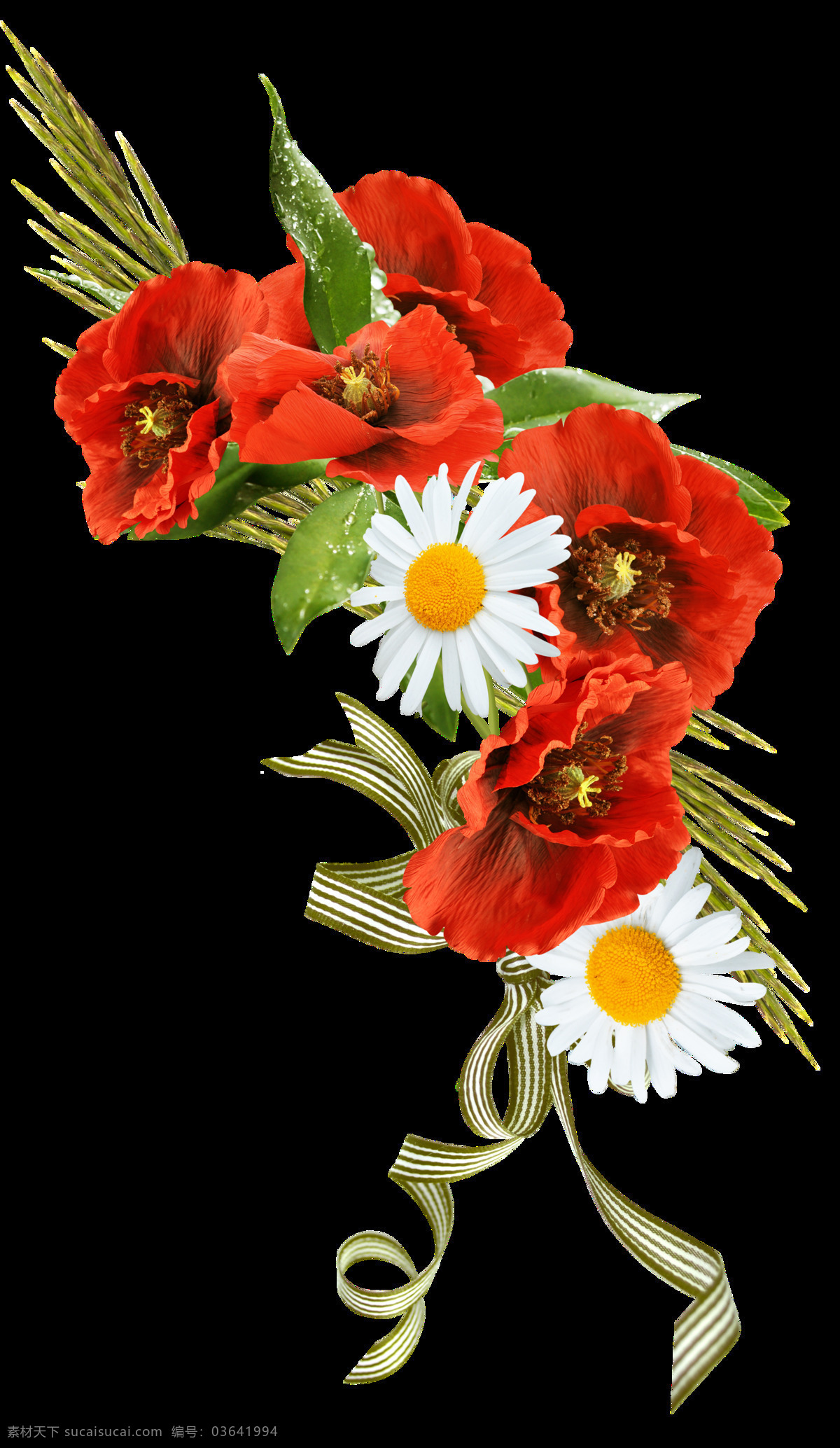 时尚 手绘 逼真 花卉 花束 透明 雏菊 丝带 条纹 红花 透明素材 免扣素材 装饰图片