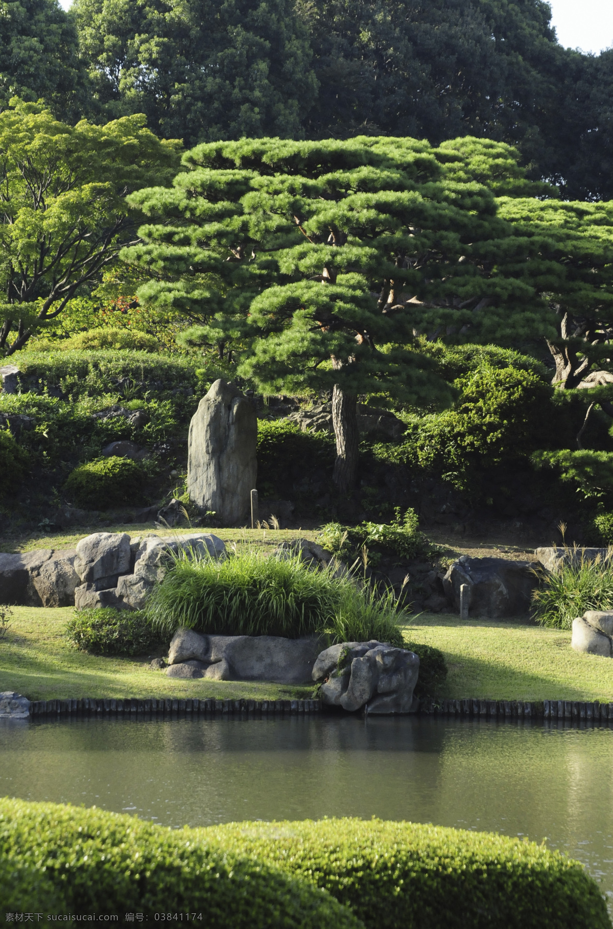 美丽水池风景 水池风景 湖泊风景 日本花园风景 日本风光 美丽风景 景色 公园风景 花园美景 树木风景 自然风景 自然景观 黑色