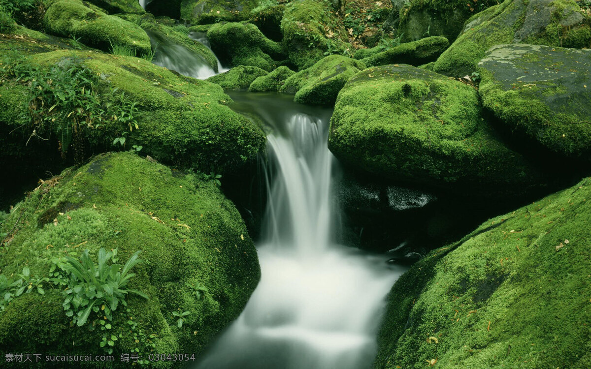 风景图片 风景 桌面壁纸 自然景观 自然风景 壁纸图片 壁纸 山水风景 山水画图片 河流 唯美图片 风景画 风景壁纸 唯美壁纸 唯美素材 背景图片 背景素材 蓝天白云 大自然 高清风景图片 拍摄 生态 绿叶 花 草 植物 植物特写 拍摄素材