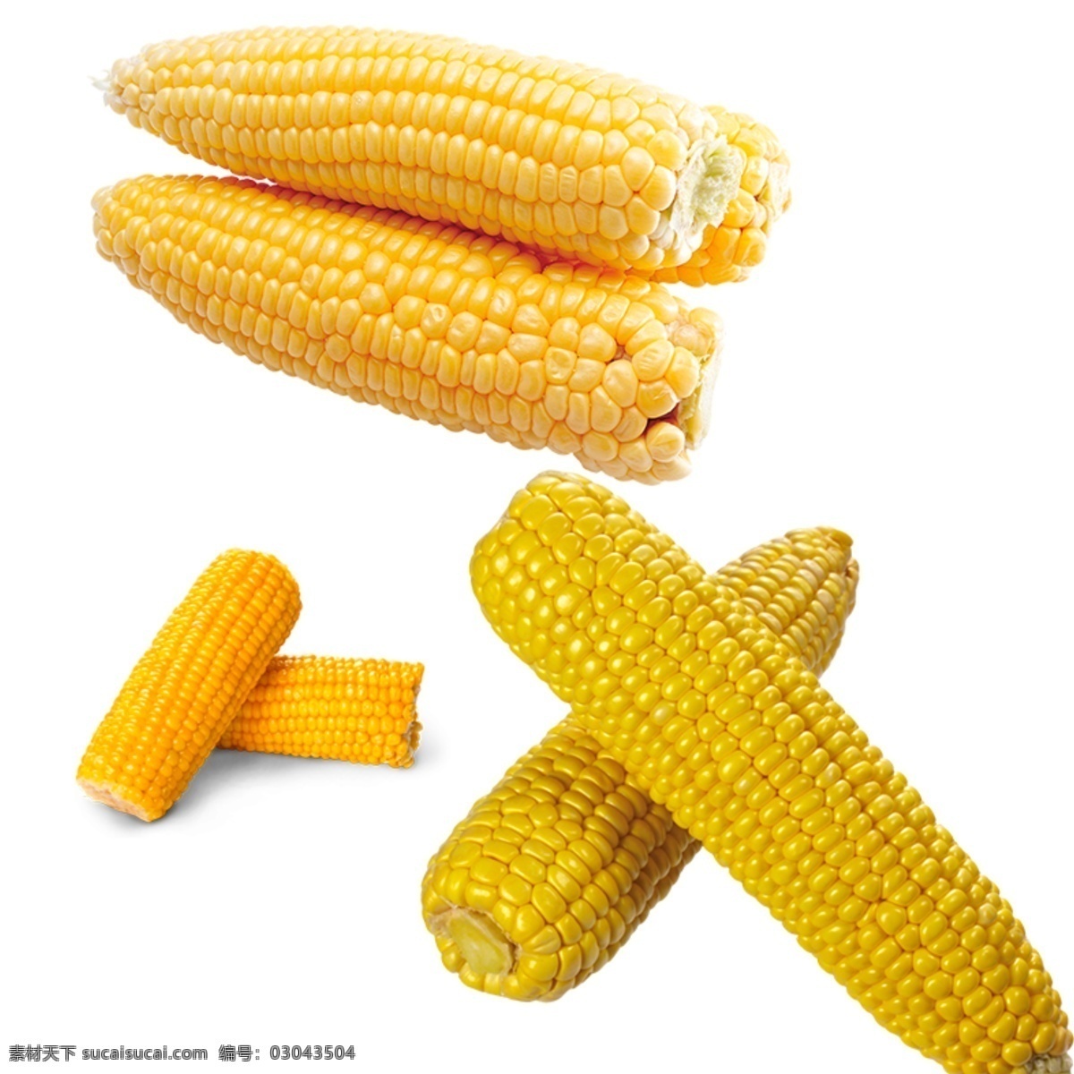 玉米图片 玉米 水果玉米 黄色玉米 五谷杂粮 玉米元素 玉米素材
