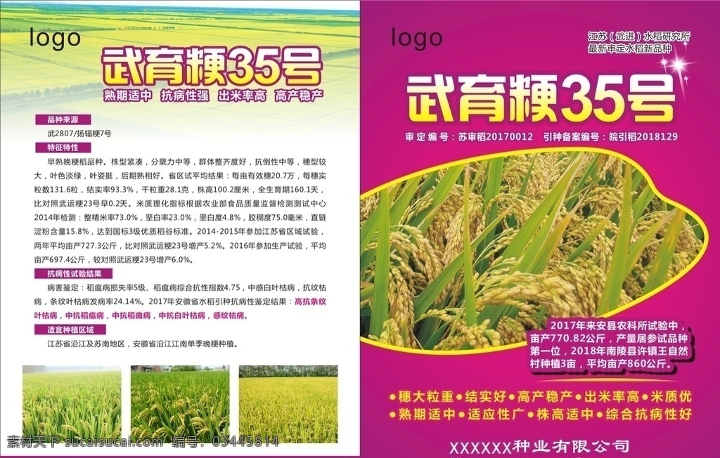 水稻单页 水稻 单页 稻田 紫色 粳稻