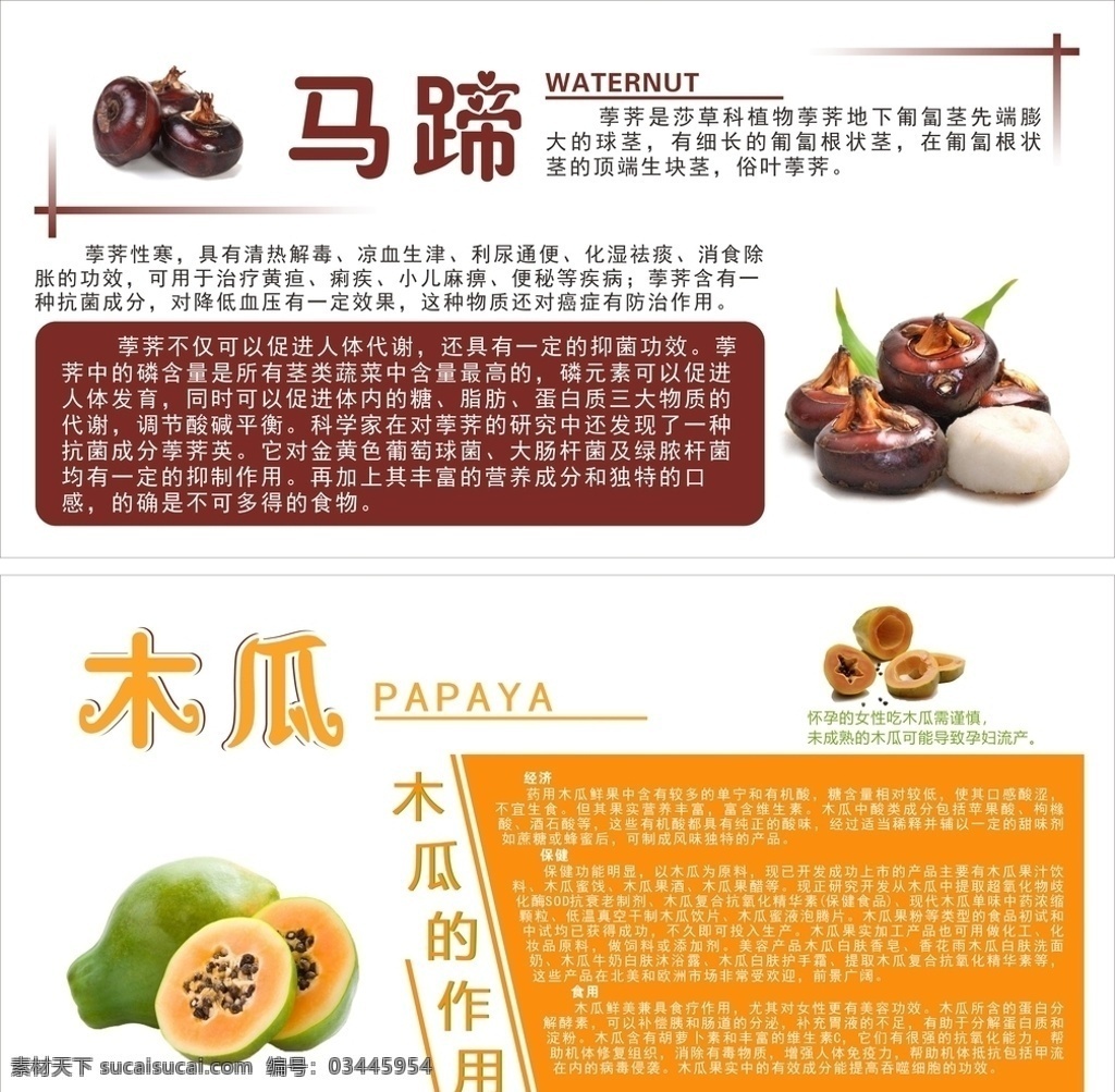 果香 马蹄 木瓜 棕色 橙色 水果 名片卡片