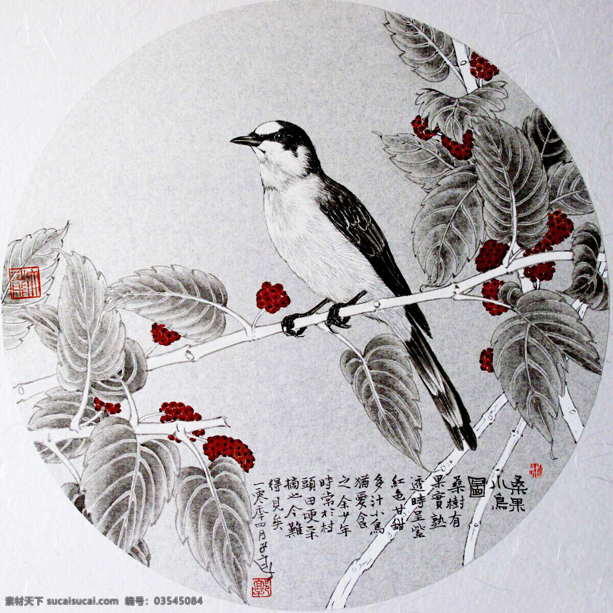 成熟 国画艺术 果子 花鸟画 绘画 绘画书法 书法 桑果小鸟图 中国画 水墨画 写意画 现代国画 白头鸟 植物 桑树 印章 国画集15 文化艺术 装饰素材 雕刻 图案