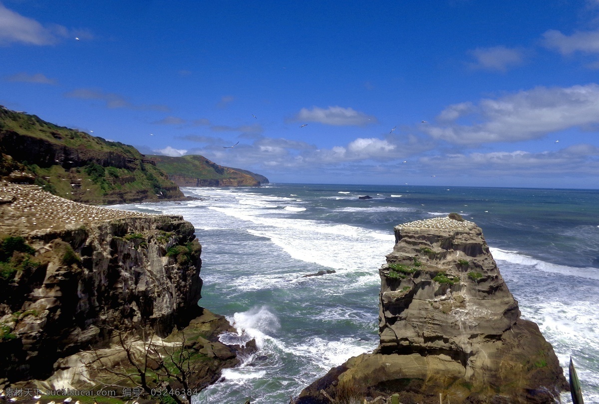新西兰 鸟岛 自然风光 蓝天 白云 大海 海水 海浪 岩石 礁石 海鸟 海滨 风光 自然景观 自然风景