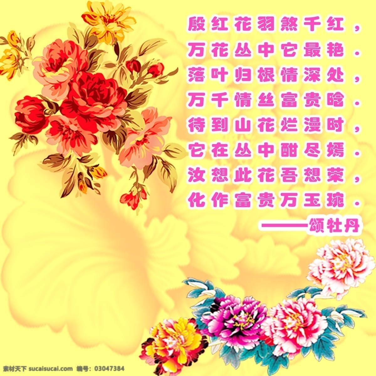 牡丹 颂 广告设计模板 画册设计 牡丹花 文字 源文件库 牡丹颂 其他画册封面