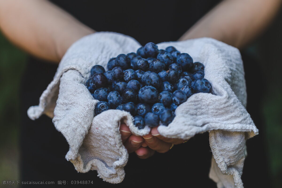 鲜甜 汁 蓝莓 浆果 绿色浆果 鲜甜的蓝莓 多汁的蓝莓 有机水果 绿色水果 农产品 水果摄影 生物世界 水果