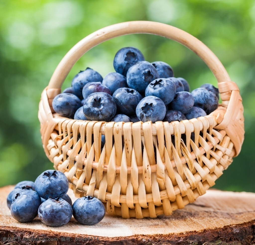 新鲜 蓝莓 水果 篮子 甜蓝莓 果肉 蓝莓汁 进口蓝莓 新鲜水果 水果蔬菜 超市水果 生物世界