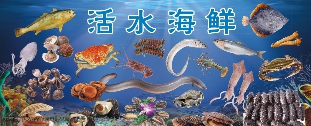 海鲜广告 海鲜背景 海鲜素材 鱼 龙虾 螃蟹 贝壳 花甲 海鲜城 海报